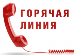 Знаешь, где продают нелегальный алкоголь и сигареты? Расскажи!