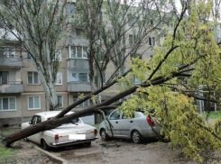 В Шахтах объявлено штормовое предупреждение