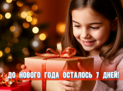 До Нового года осталось 7 дней