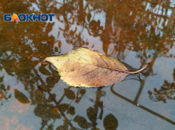 После обеда возможен небольшой осенний дождь