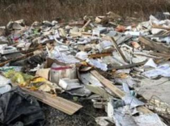 Нелегальный перевозчик вывез созданную им свалку в Шахтах