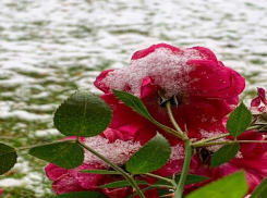 В город вернутся теплые дни: погода в Шахтах