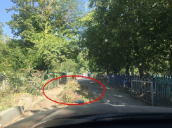 Шахтинское центральное кладбище утопает в мусоре