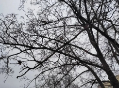 Хмурое серое небо: переменную облачность и снег прогнозируют синоптики в четверг