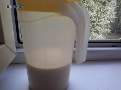 Молочный фальсификат в действии: эксперты Россельхознадзора выявили фантомное предприятие