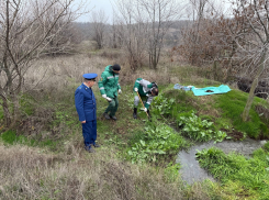 Прокуратура и Росприроднадзор проверяют сброс сточных вод в реку Грушевка 