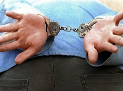 Педофила-убийцу из Красного Сулина приговорили к 24 годам колонии