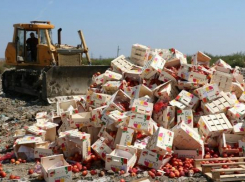 Парламентарии наконец-то предложили раздавать санкционные продукты малоимущим гражданам