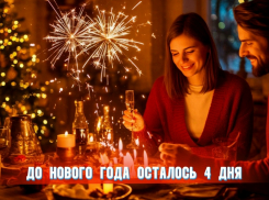 До Нового года осталось 4 дня