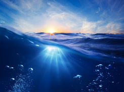 Львы - день полон неожиданных сюрпризов: астропрогноз на пятницу, 6 августа