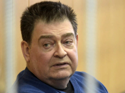 Экс-гендиректора шахтинского металлургического завода Вадима Варшавского приговорили к 7 годам колонии