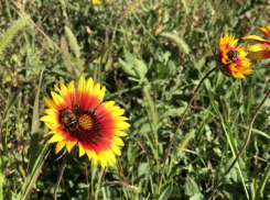 Негативные эмоции сегодня заразны: лунный календарь для шахтинцев