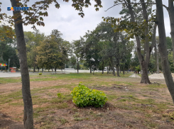 Определены базовые локации квест-экскурсии юных шахтинцев, которая стартует 1 июня