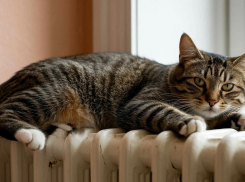 Жители Шахт обеспокоены вопросом отключения отопления