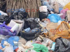 Рядом с жилыми домами образовалась свалка с трупами животных на Артеме в Шахтах