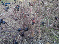 Осадки прекратятся, а днем возможно солнышко