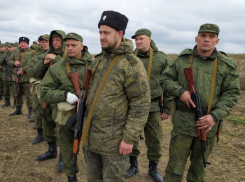 Казаки приняли участие в учениях проекта БАРС