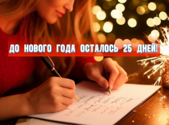 До Нового года осталось 25 дней