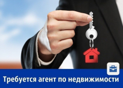 Требуется руководитель филиала агентства недвижимости 