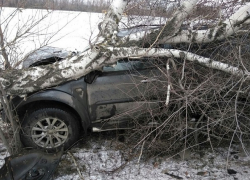 В результате аварии дерево раздавило внедорожник на трассе М-4 под Шахтами