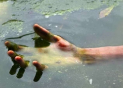 В Шахтах на пруду поселка ХБК утонул 60-летний мужчина