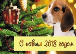 С Новым годом, Шахты!