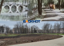 Для восстановления пруда в Александровском парке в его первоначальном виде не хватает средств