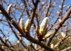 В последние дни февраля жителей города Шахты ждёт переменчивая и непредсказуемая погода