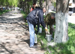 В Шахтах назначен день чистоты
