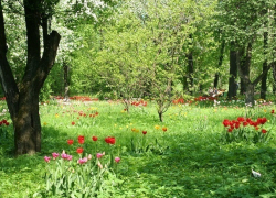 Летнее пекло до +29 обрушится на Шахты на новой рабочей неделе 