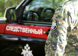 Порнофильмы с детьми снимали в соседнем с Шахтами Октябрьском сельском районе