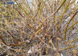 Зима не отступает, плюса пока не будет