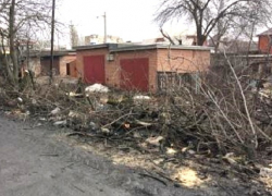 На улице Смидовича в Шахтах незаконно порубили деревья