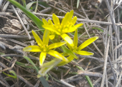 Погода – в плюсе: во вторник небольшой дождик и переменная облачность