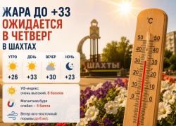 Жара до +33 градусов ожидается в четверг в Шахтах 