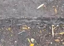 У входа в школу №22 в Шахтах образовалась полоса препятствий в виде опасных железок