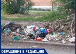 Так с мая и лежит, да еще пополняется новыми пакетами: Людмила Остроносова о горе мусора по Татаркина в Шахтах