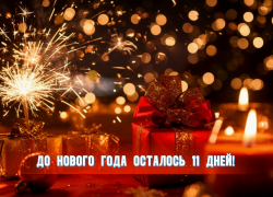 До Нового года осталось 11 дней 
