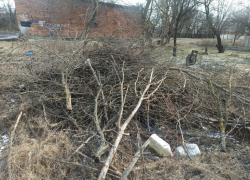 Власти города Шахты призывают жителей прийти на субботники