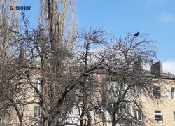 Будет ясно и без осадков, с переменной облачностью