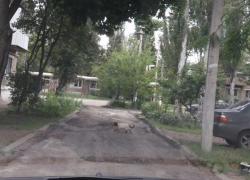 После публикации в «Блокноте Шахты» в поселке Таловый  сделали дорогу