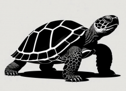 Пожар произошел в парке птиц «Малинки»