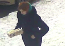 Разыскивают рыжеволосую даму, выкинувшую в мусорку мертвого младенца под Шахтами
