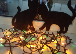 Характеристики товара, производитель: как выбрать безопасную и качественную гирлянду