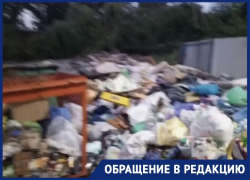 «Горы мусора»: поселок Машзавод в Шахтах превращается в свалку