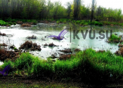 Канализационное поле в 150 м образовалось в Шахтах