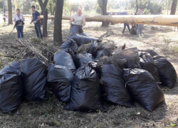 Уборка – до осени: стали известны даты проведения субботников