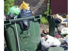 Переполненные мусорные баки на улице Разина в Шахтах не вывозят почти неделю