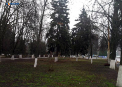 На улице значительно потеплеет