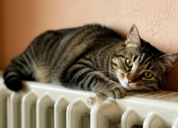 Отопительный сезон в Шахтах завершат 15 апреля